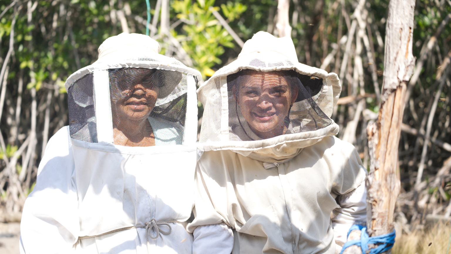 Apicultores con traje de protección