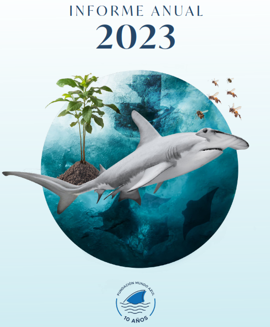 Informe Anual 2023