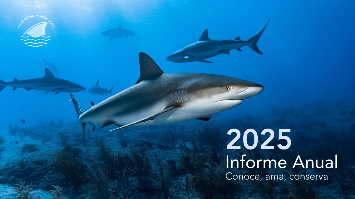Reporte Anual 2025