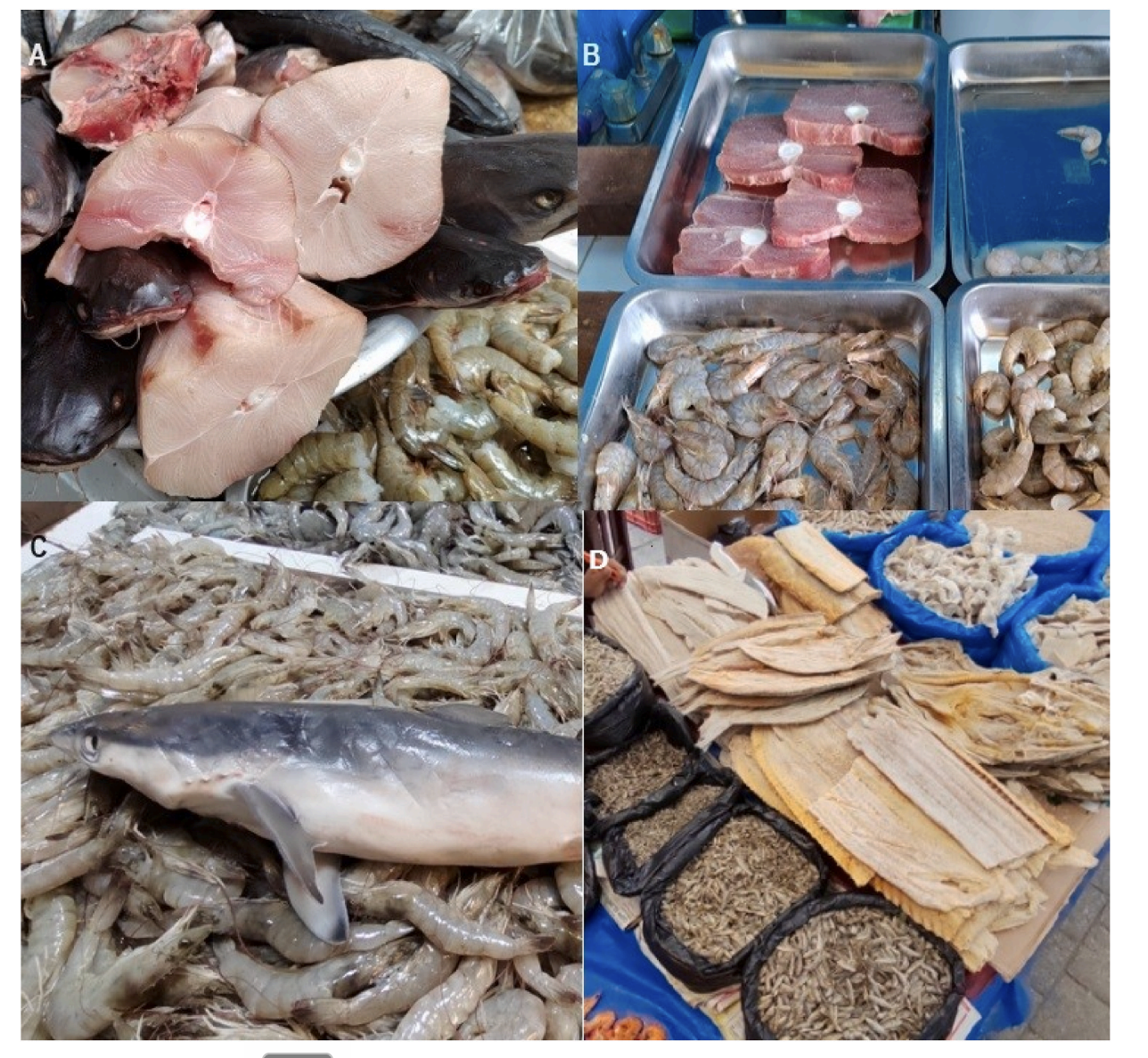 Elasmobranch products for sale