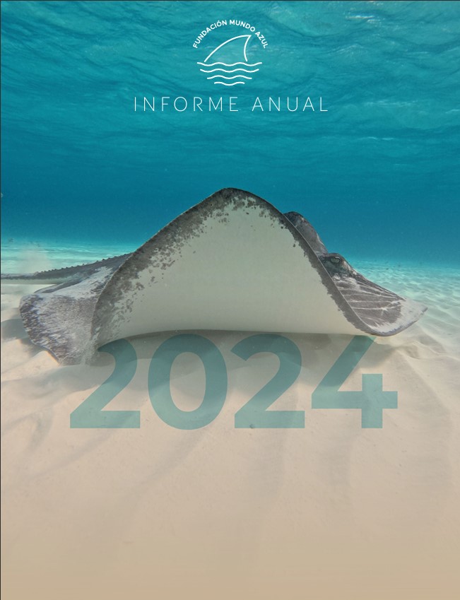 Annual Report 2024