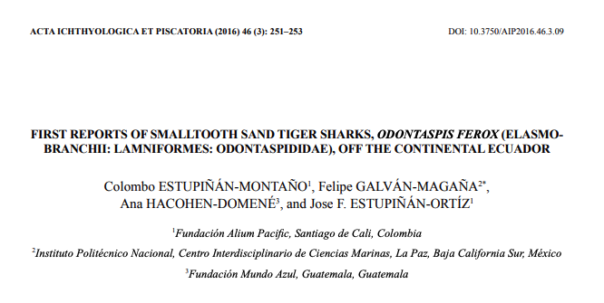 Primeros registros del tiburón toro dentado (Odontaspis ferox) frente a la costacontinental de Ecuador