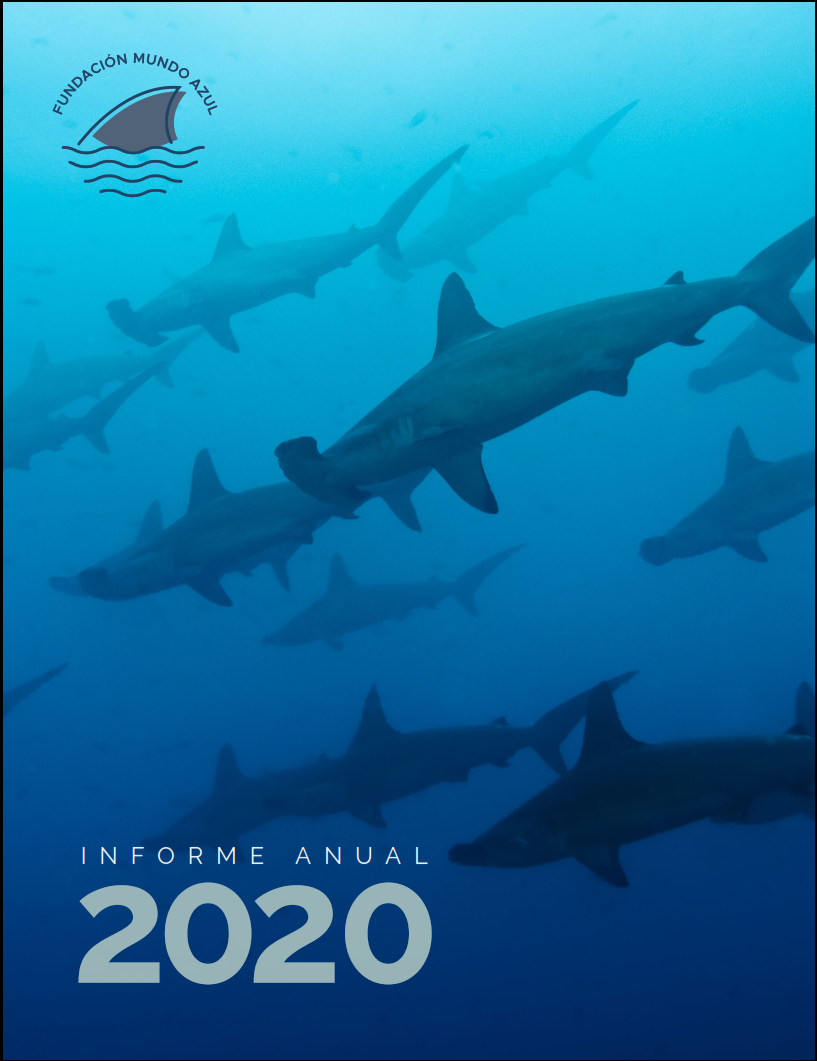Annual Report 2020