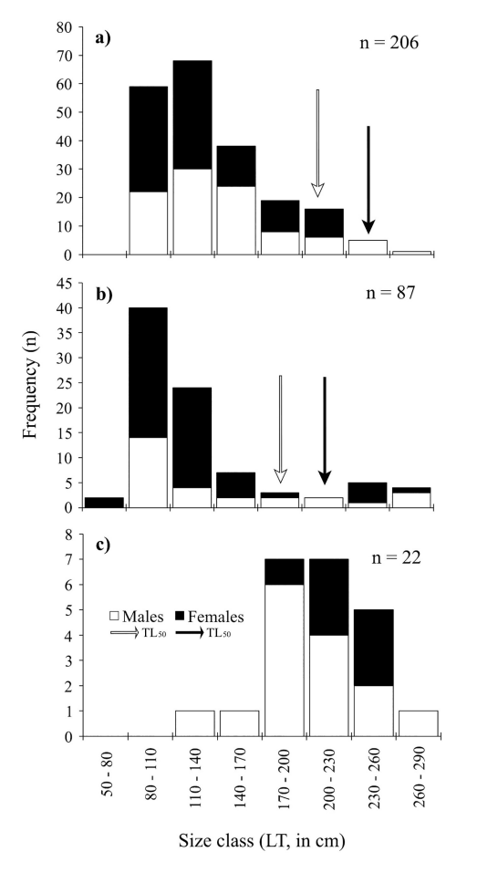 Shark size-frequency distribution