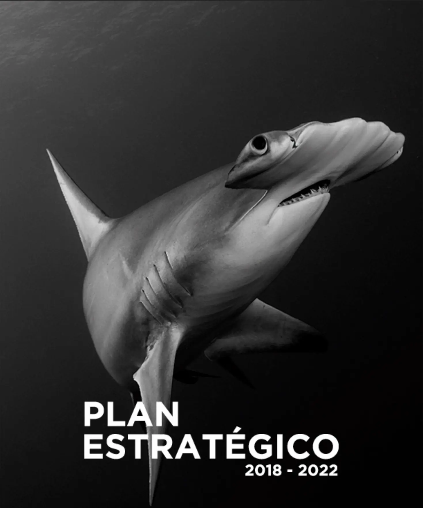 Planeación Estratégica
