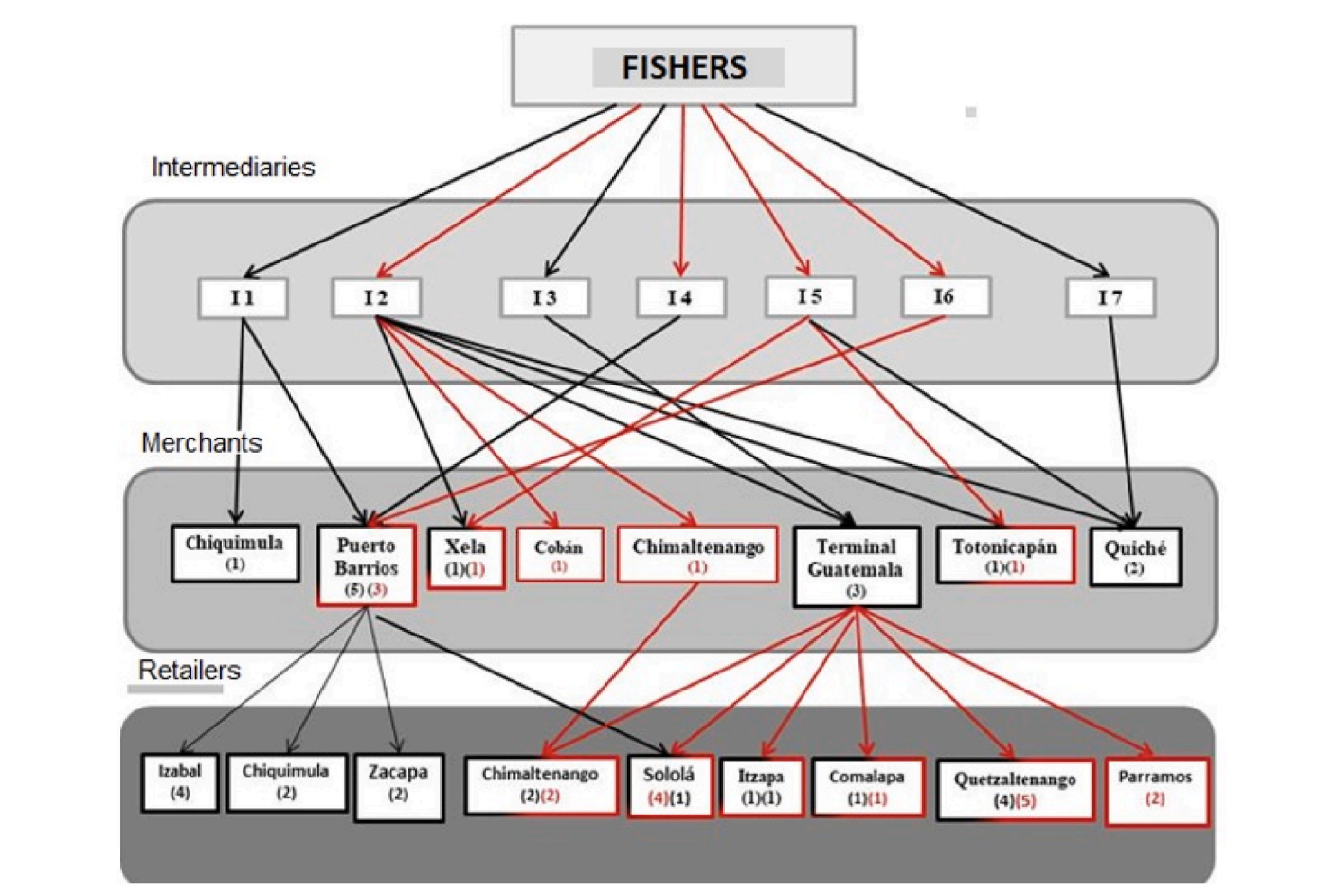 Elasmobranch value chain