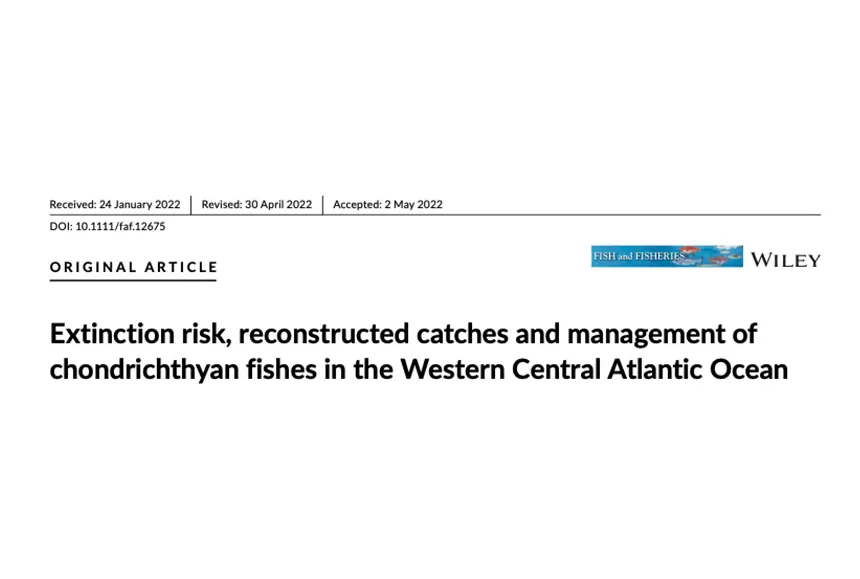 Riesgo de extinción, capturas reconstruidas y manejo de peces condrictios en el océano Atlántico centro-occidental