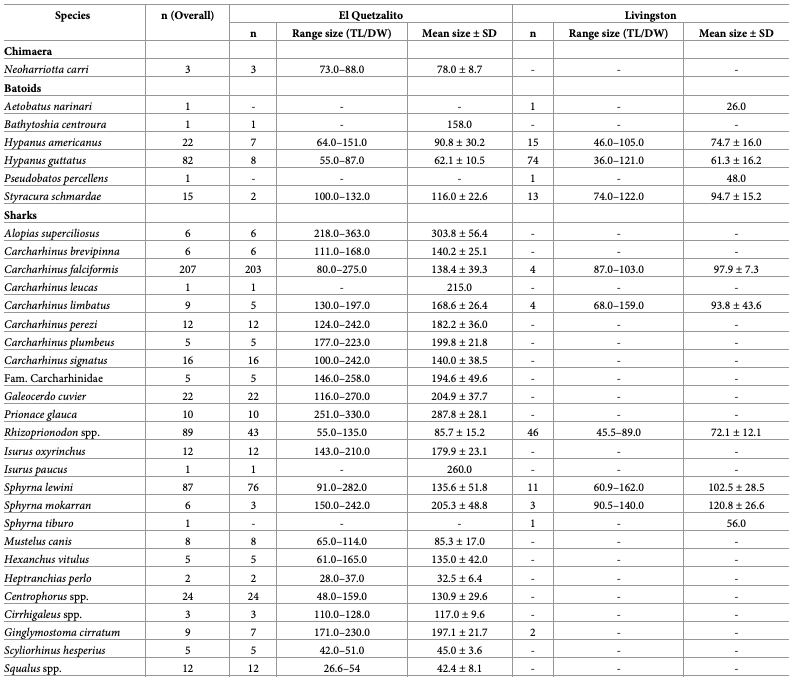 Catch composition by species and locality
