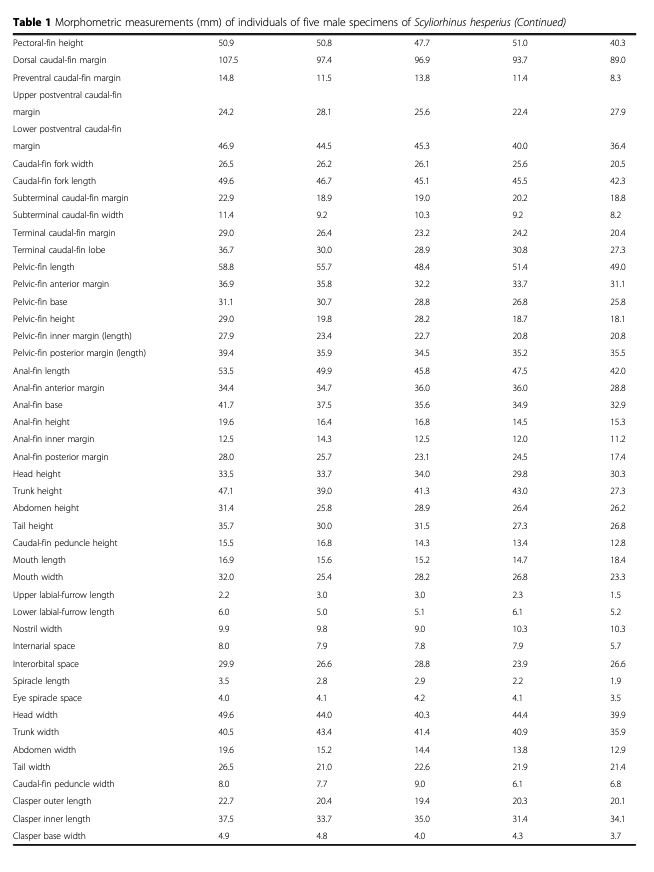 Morphometric measurements continuation
