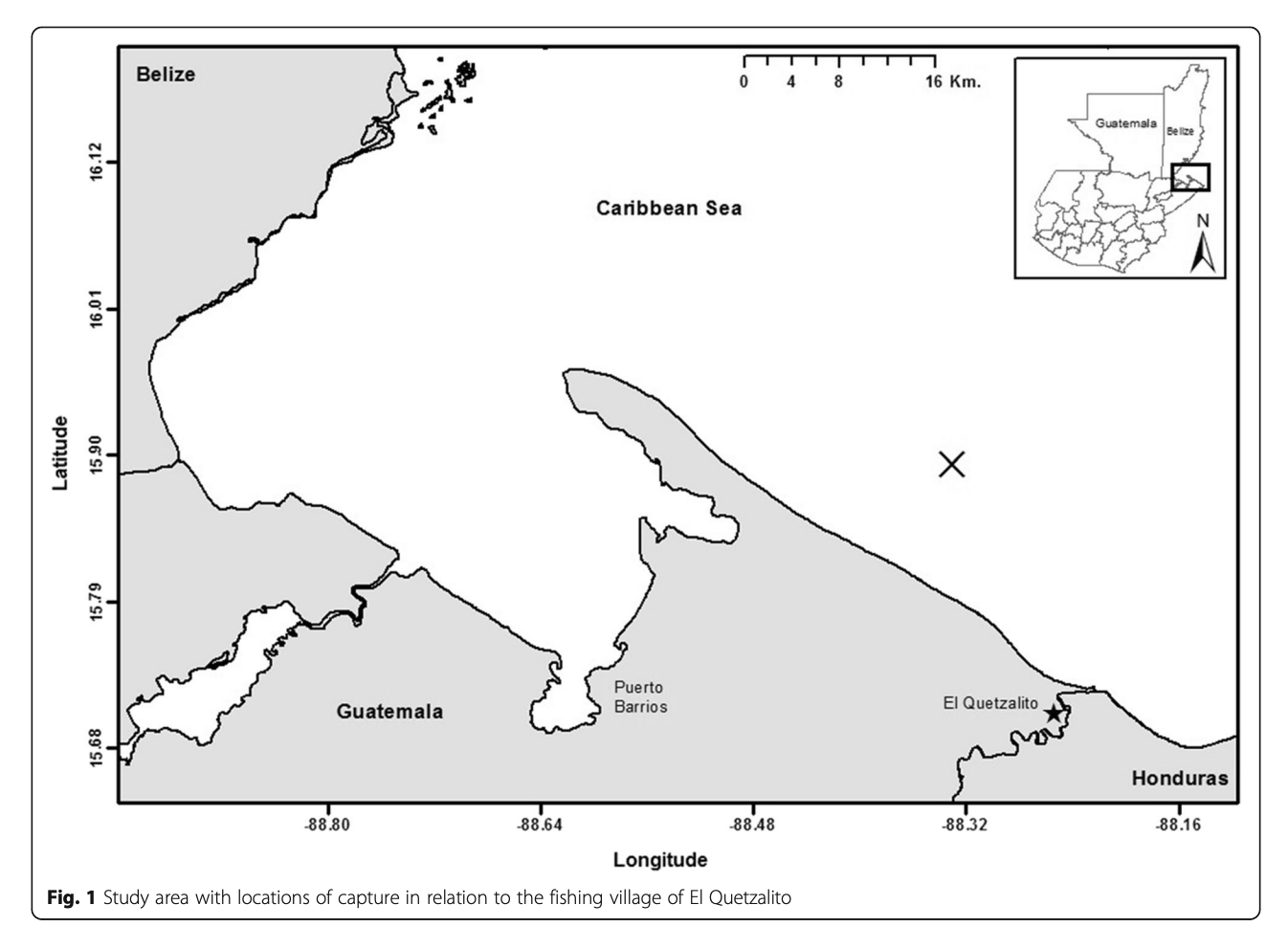 Primer registro de la quimera Neoharriotta carri (Bullis y Carpenter, 1966) en el Caribe de Guatemala