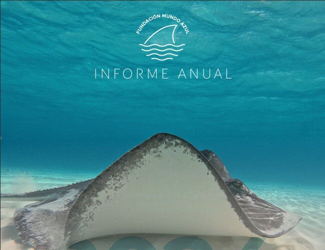 Informe Anual 2024