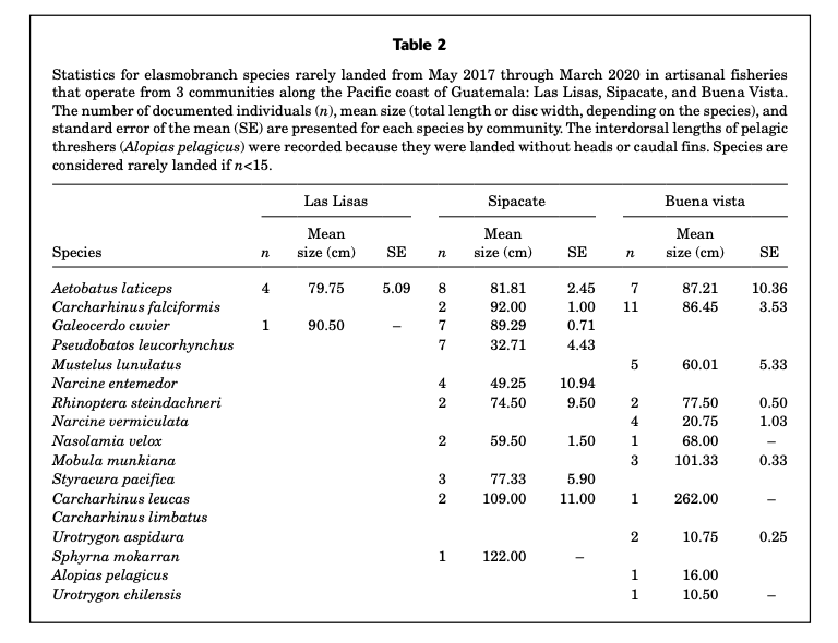 Rarely landed elasmobranch statistics table