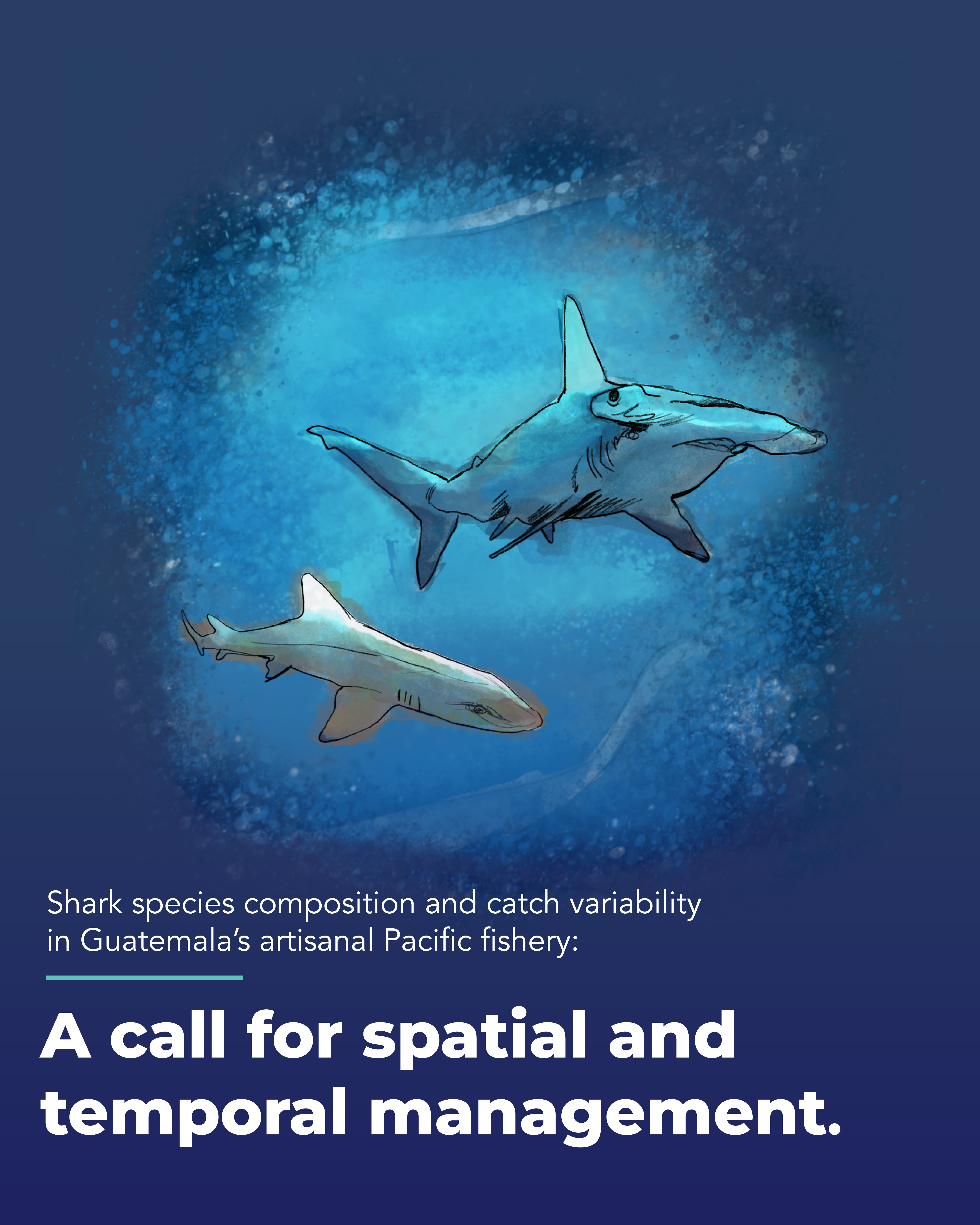 Composición de especies de tiburones y variabilidad de las capturas en la pesquería artesanal del Pacífico de Guatemala: una propuesta para la gestión espacial y temporal.