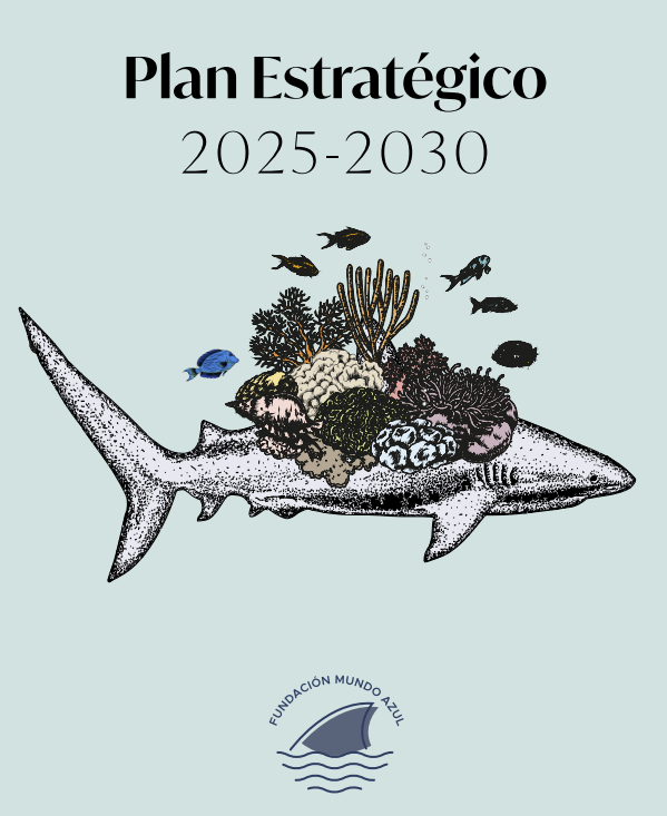Plan estratégico 2025-2030