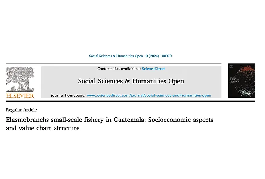 Elasmobranchs small-scale fishery in Guatemala: Socioeconomic aspects and value chain structure