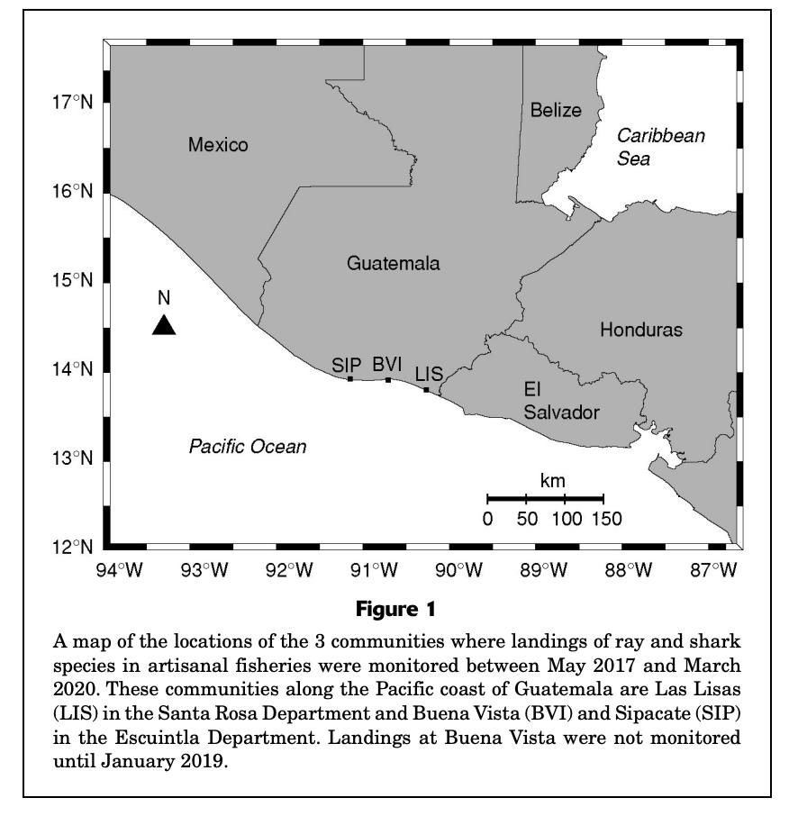 Caracterización de las pesquerías artesanales de elasmobranquios en la costa del Pacífico de Guatemala