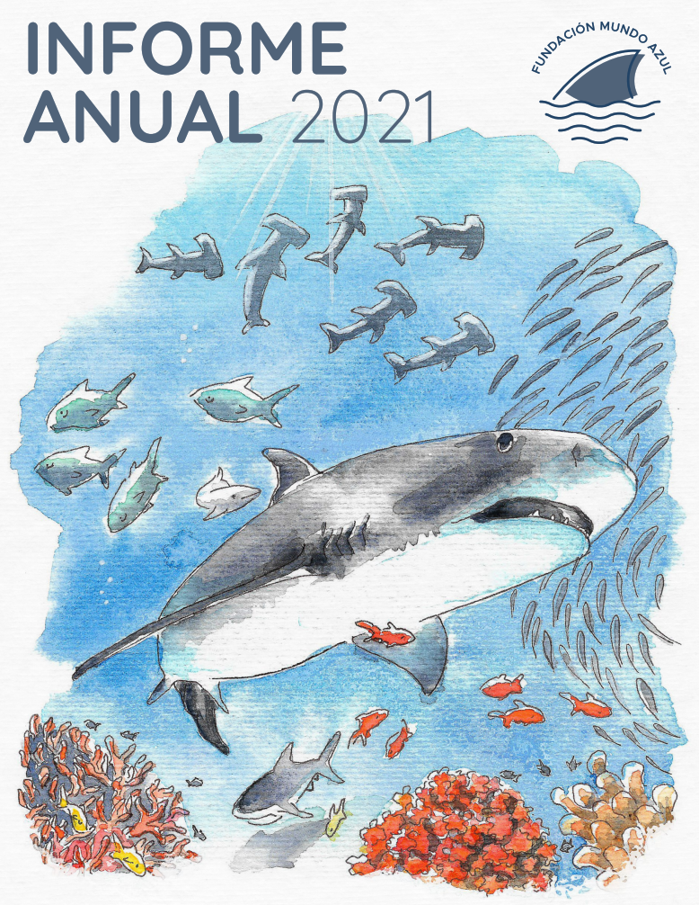 Informe Anual 2021