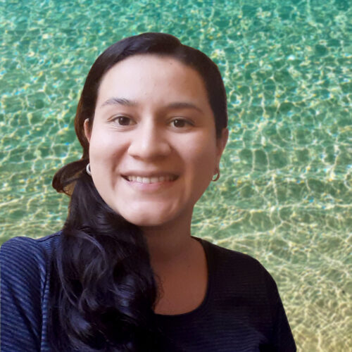 Ma. De Los Ángeles Rosales