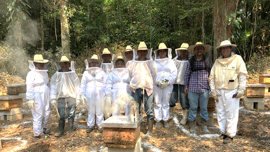 Apicultores Sarstun Guatemala