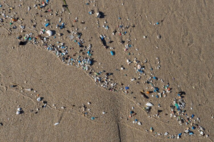 Océano plástico: el enemigo que no siempre se ve